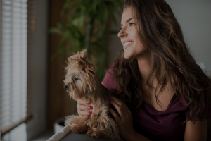 strata, owners corporation, pets, strata schemes, NSW legislation, sydney lawyers, ivy law group