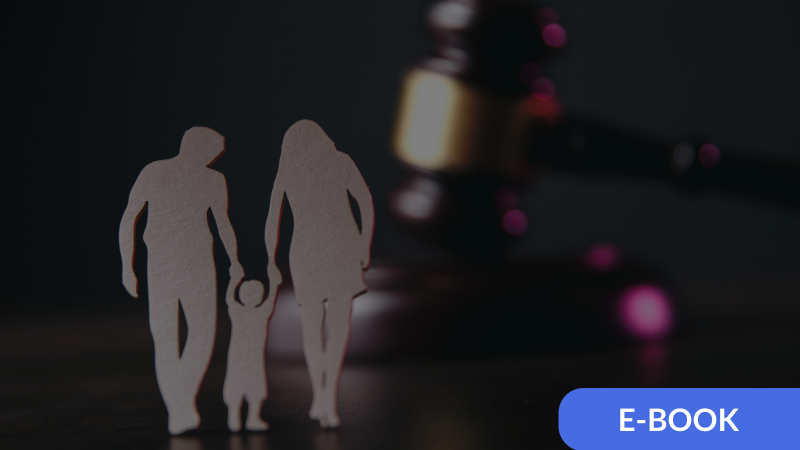 ebook, family law, legal guide, download, sydney family lawyers, divorce, separation, property,